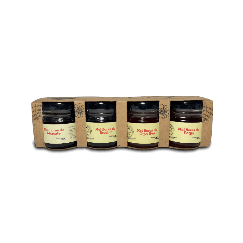 KIT DE MEL Multiflorais - Coopemapi - Mel das Gerais