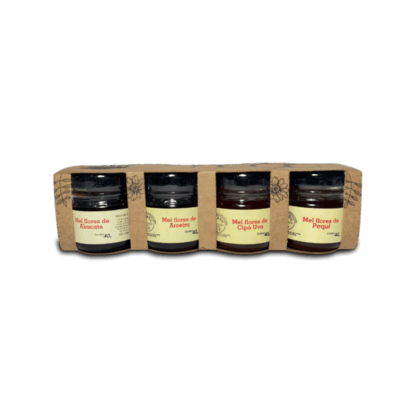 KIT DE MEL Multiflorais - Coopemapi - Mel das Gerais